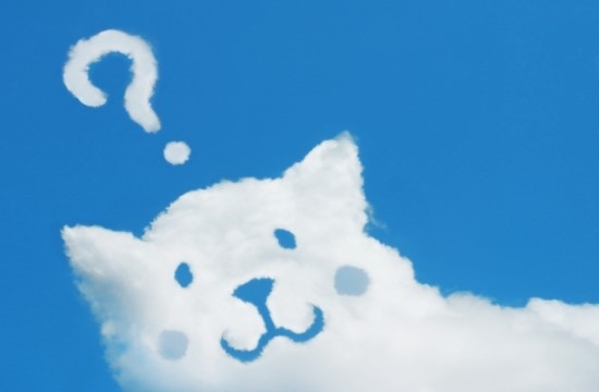 疑問50の画像