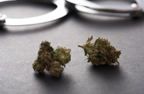 大麻の画像