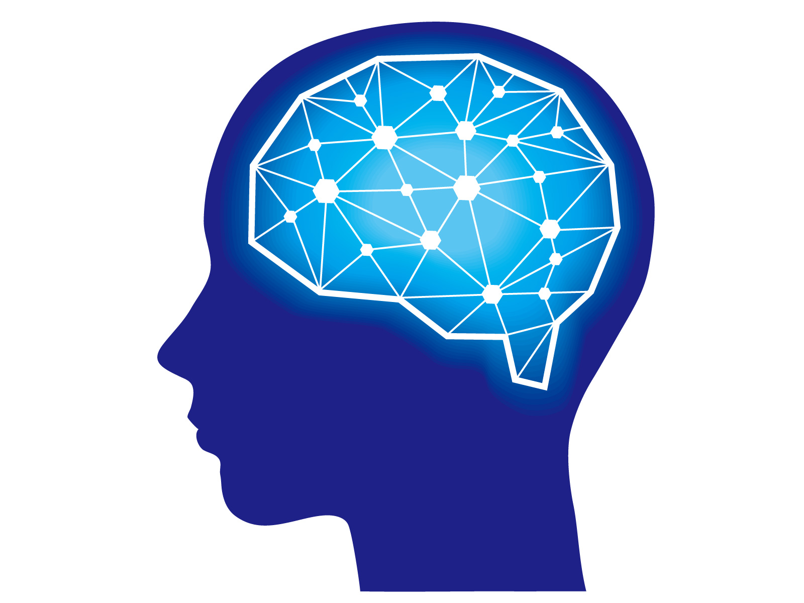 脳のイメージ画像