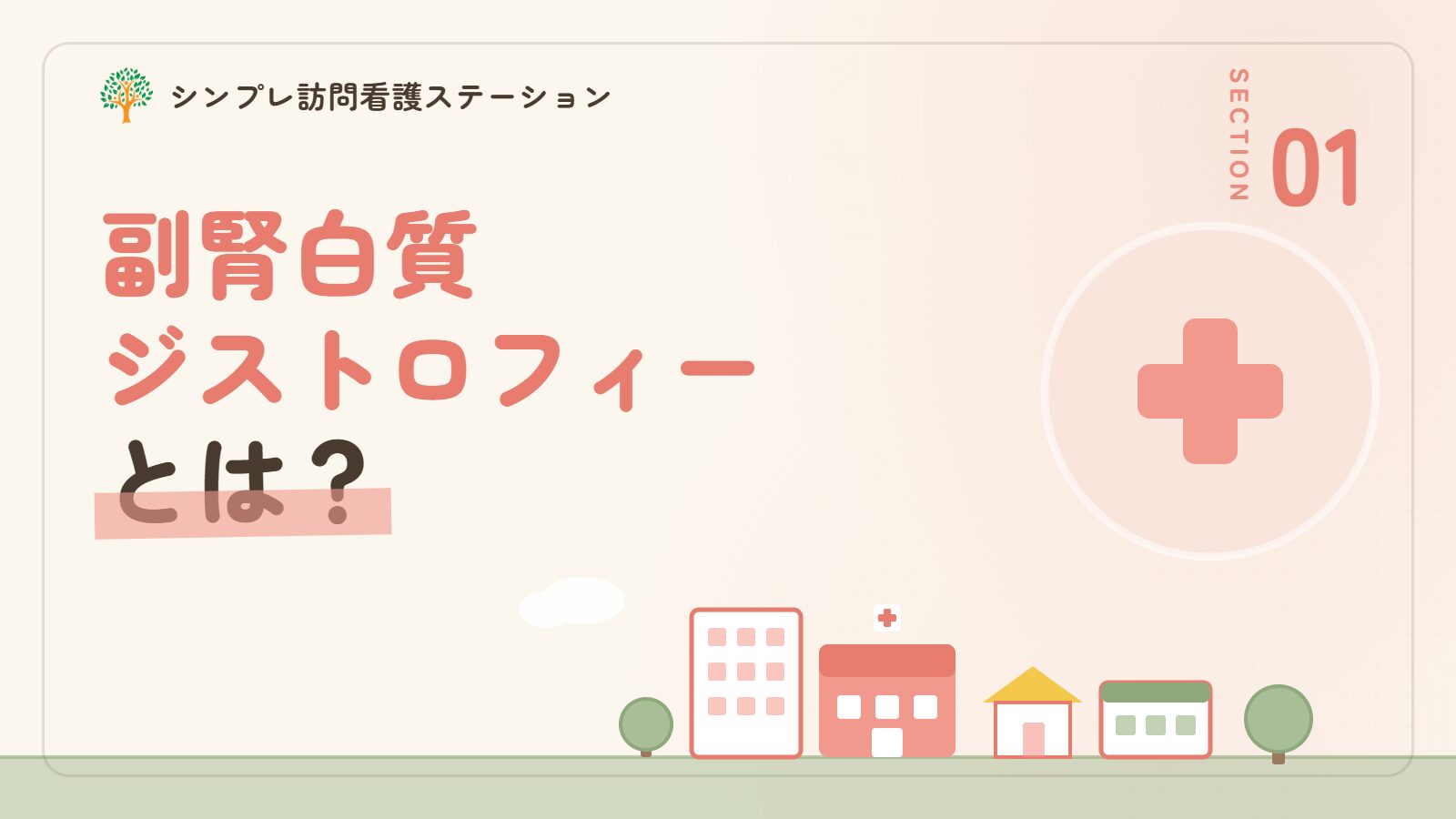 副腎白質ジストロフィーとは