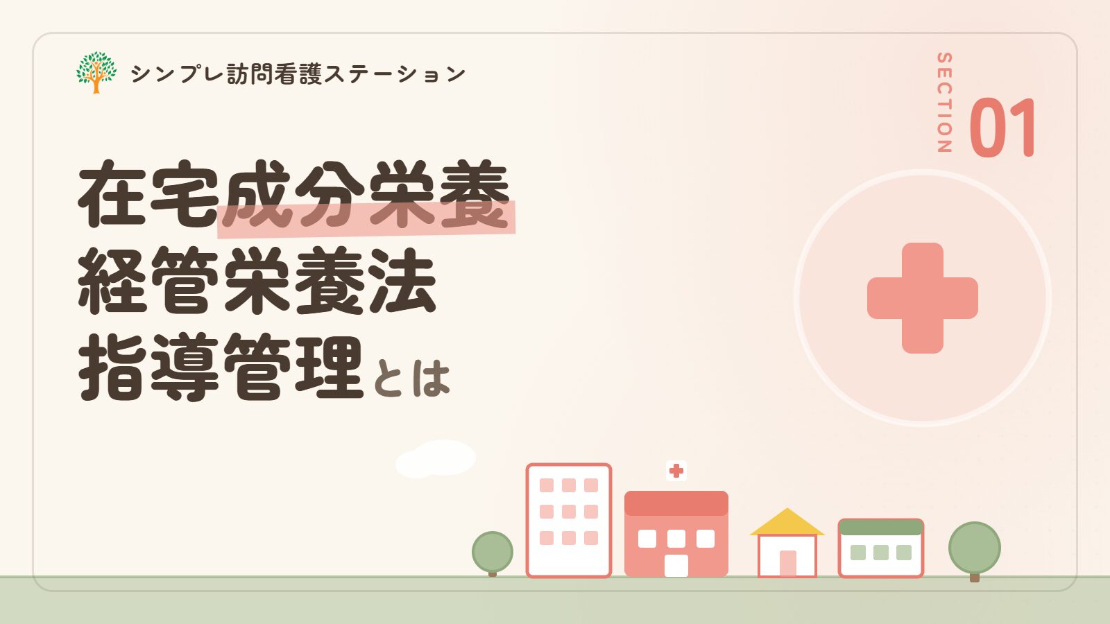 在宅成分栄養経管栄養法指導管理とは