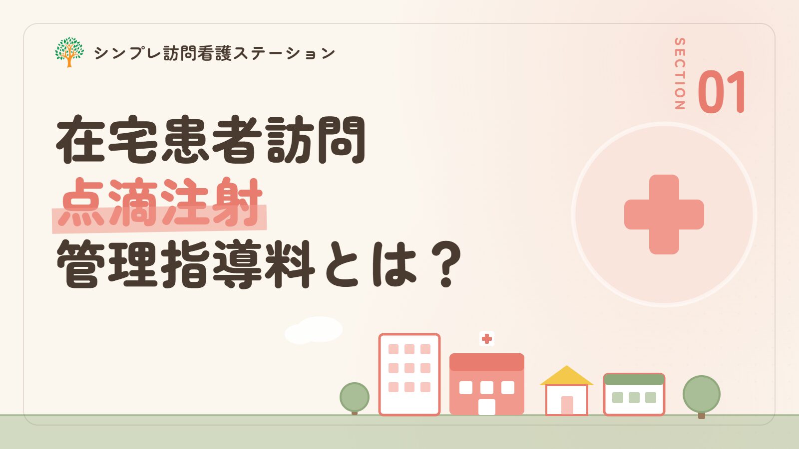 在宅患者訪問点滴注射管理指導料とは
